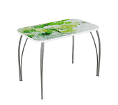 Стол обеденный прямоугольный ВВР стекло с фотопечатью (Лайм 2/Подстолье чайка)