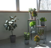 ПДЦ Парма ЧЕР_1 (3)