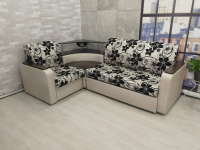 магнолия угловая а